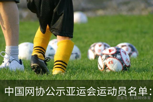 中国网协公示亚运会运动员名单：郑钦文张之臻均不参赛